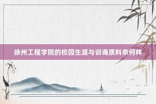 徐州工程学院的校园生涯与训诲质料奈何样